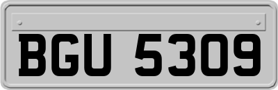 BGU5309