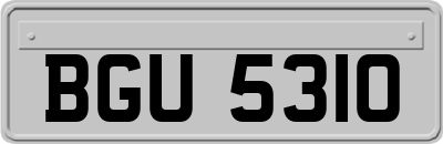 BGU5310