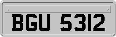 BGU5312