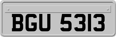 BGU5313