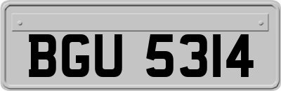 BGU5314