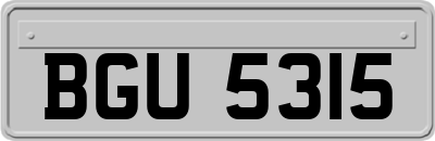 BGU5315