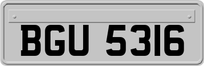 BGU5316