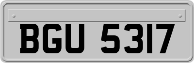BGU5317