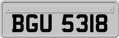 BGU5318