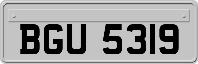 BGU5319