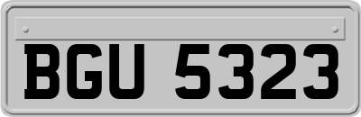 BGU5323
