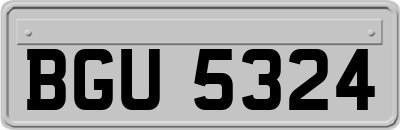 BGU5324