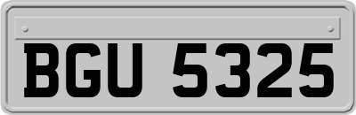 BGU5325