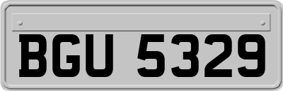 BGU5329