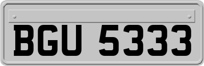 BGU5333