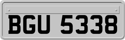 BGU5338