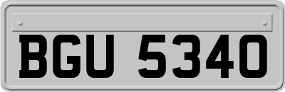 BGU5340