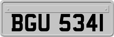 BGU5341
