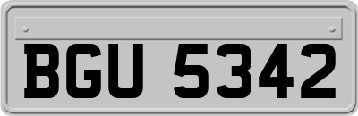 BGU5342