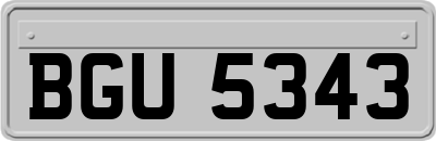 BGU5343