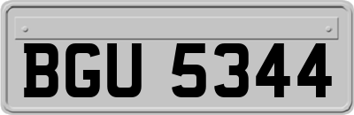 BGU5344