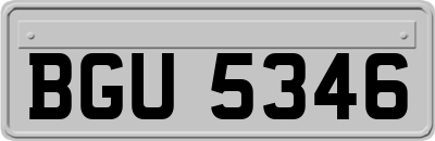 BGU5346