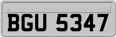 BGU5347