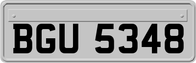 BGU5348