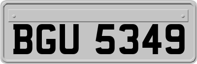 BGU5349