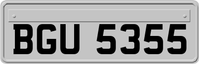 BGU5355