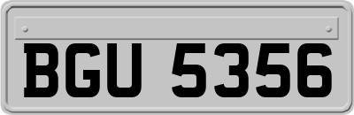 BGU5356