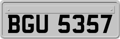 BGU5357
