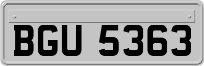 BGU5363