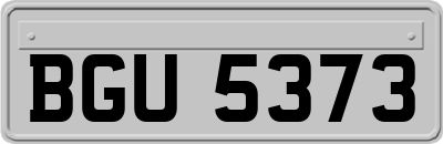 BGU5373