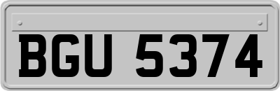 BGU5374