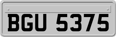 BGU5375
