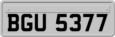 BGU5377