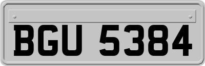 BGU5384