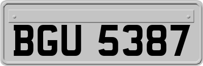 BGU5387