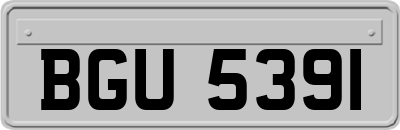 BGU5391