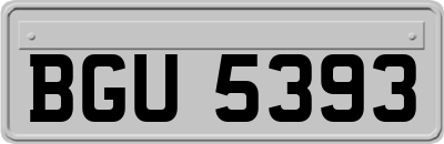 BGU5393
