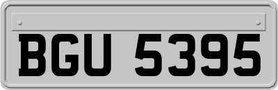 BGU5395