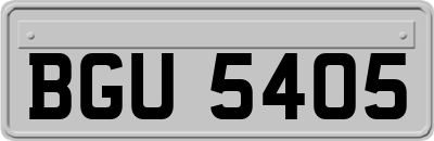 BGU5405