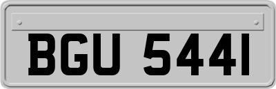 BGU5441