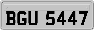 BGU5447