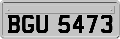 BGU5473