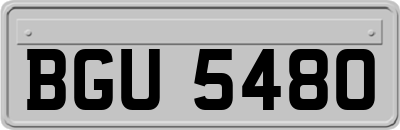 BGU5480