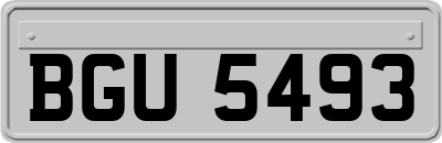 BGU5493