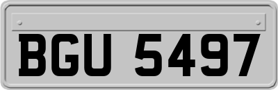 BGU5497