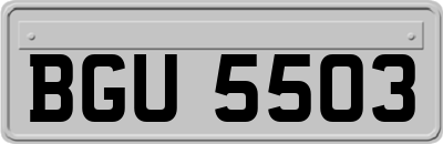 BGU5503