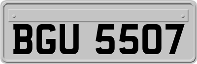 BGU5507