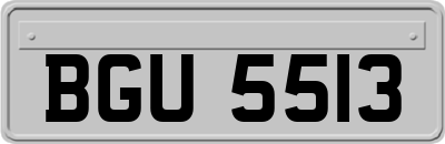 BGU5513