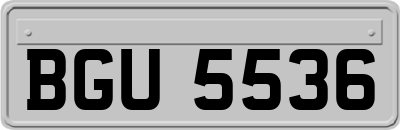 BGU5536