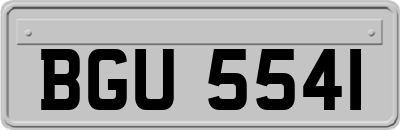 BGU5541